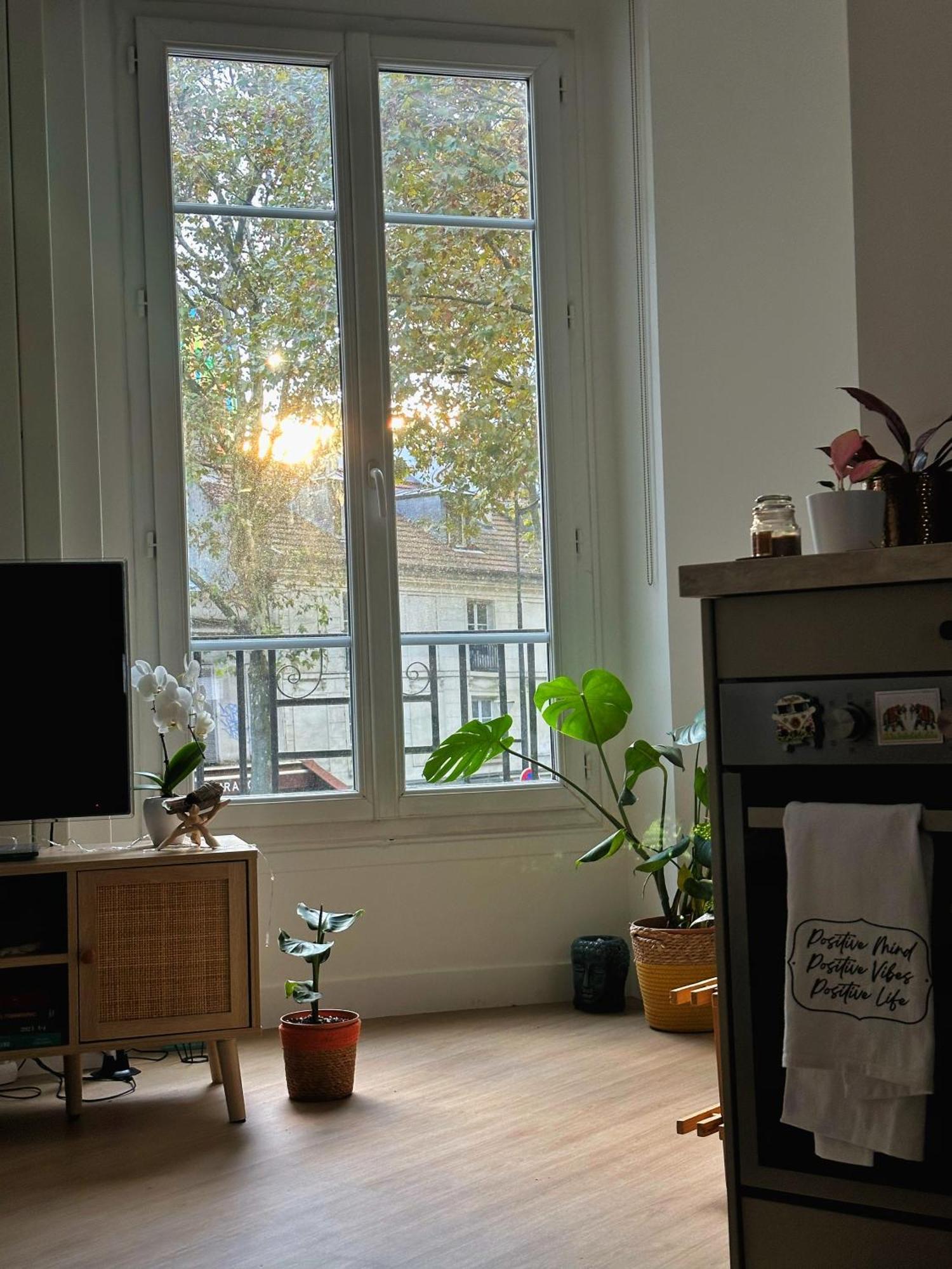 Apartment Calme Et Cozy En Plein Paris